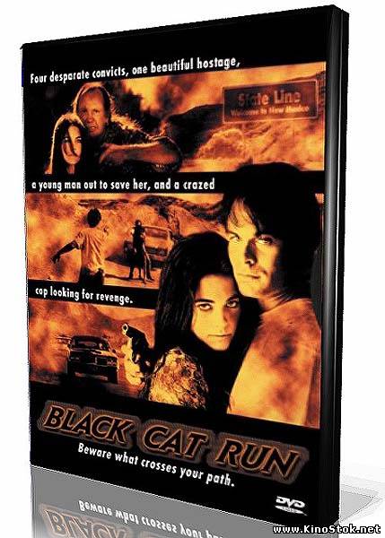 Бег чёрной кошки / Black cat run