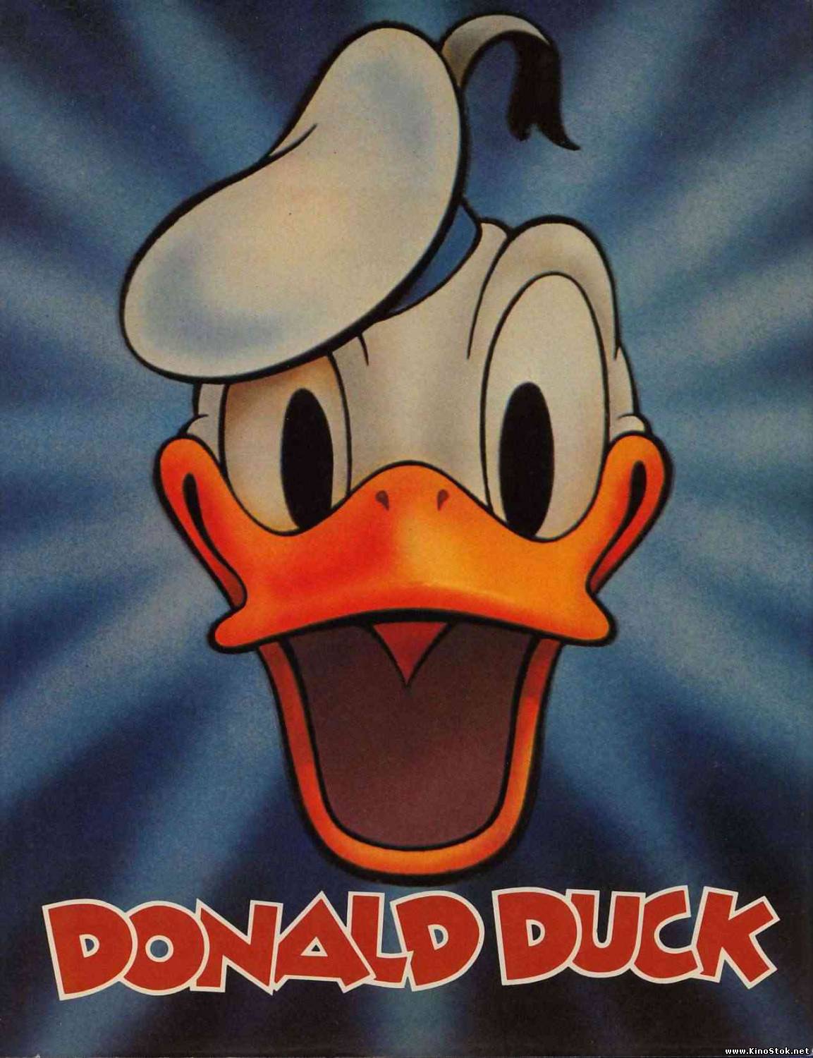 Donald duck