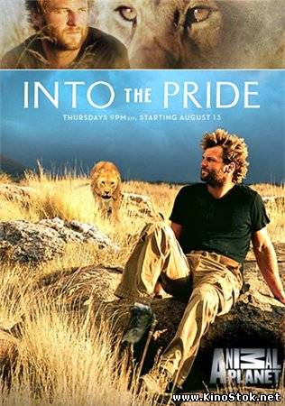 Жизнь в стае / Into the Pride