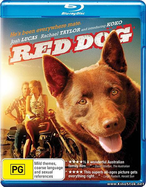 Рыжий пес / Red Dog