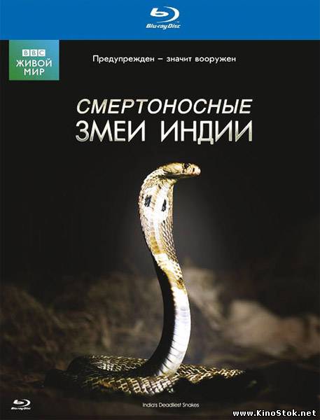 BBC: Живой мир. Смертоносные змеи Индии / BBC: The Natural World. One Million Snake Bites