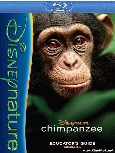 Шимпанзе / DisneyNature: Chimpanzee
