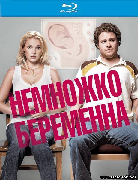 Немножко беременна / Knocked Up