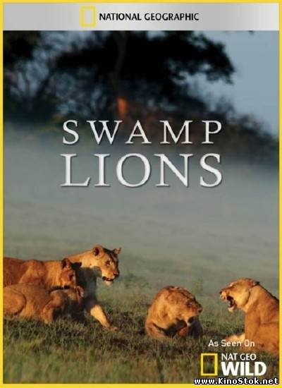 Болотные львы / Swamp Lions