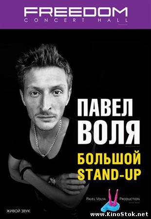 Павел Воля. Большой Stand Up / Концерт в театре эстрады