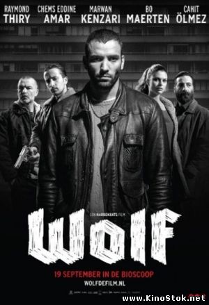 Волк / Wolf