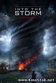 Навстречу шторму /  Into the Storm