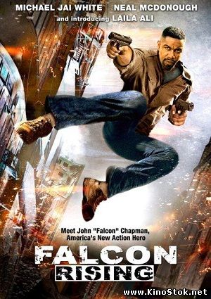 Восхождение Сокола / Falcon Rising