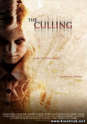 Отбор / The Culling