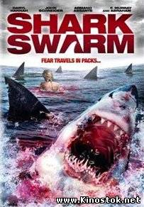 Стая акул / Shark Swarm (2008)