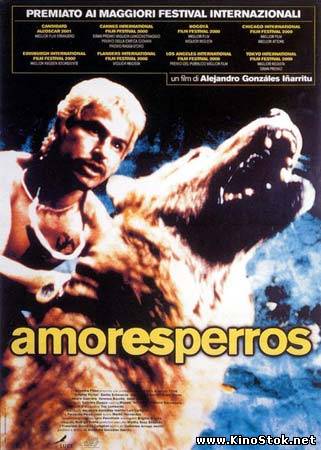 Сука Любовь / Amores perros