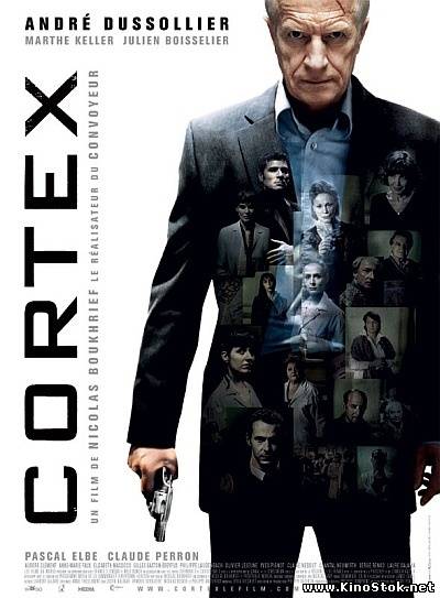 Кортекс / Cortex