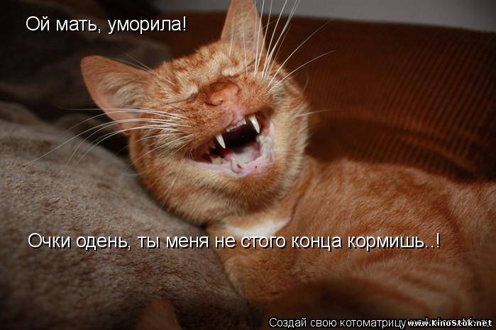 http://www.kinostok.net/_pu/8/71769746.jpg